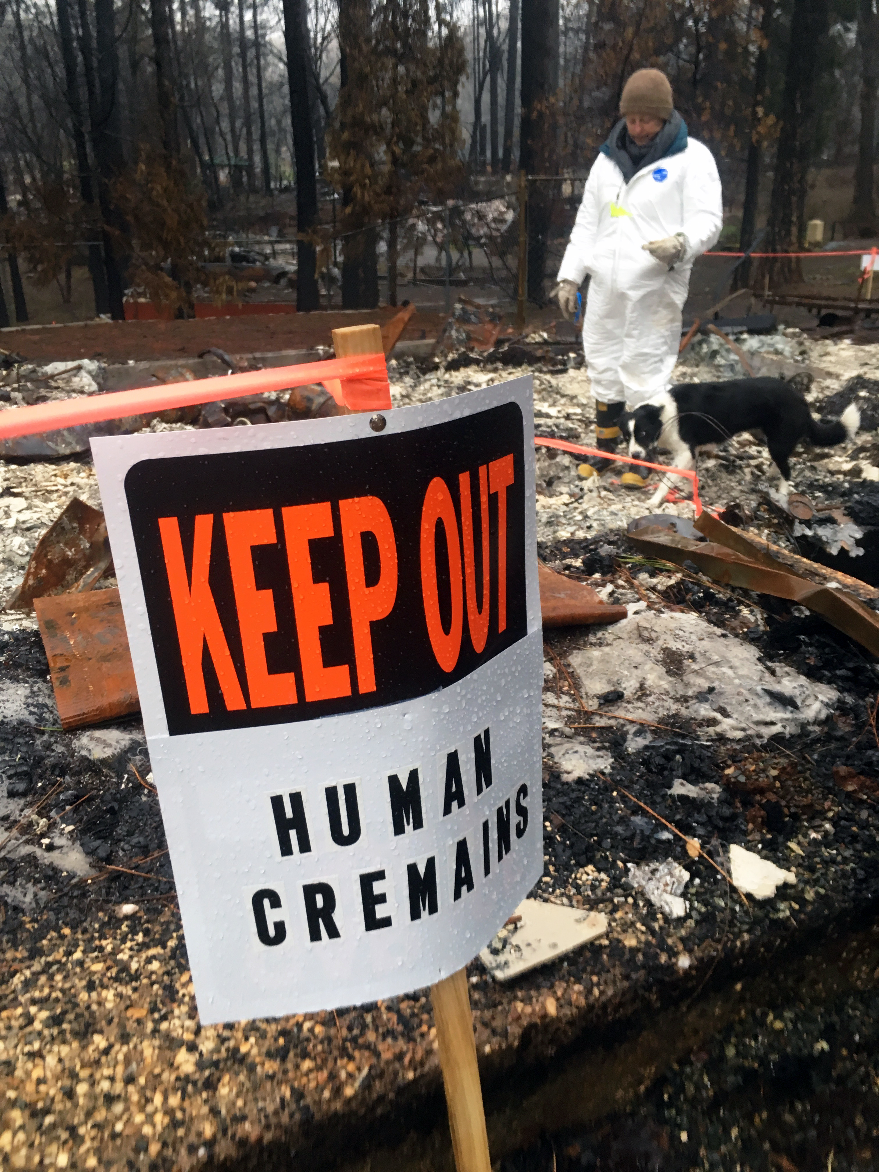 Lynn Englebert, with the Institute for Canine Forensics, searches a burned out home with ICF dog, Piper, in February 2019.